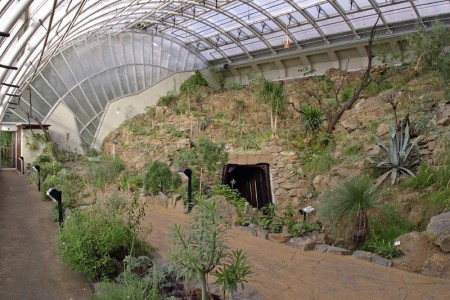 botanicka-zahrada-hl-m-prahy-troja-fata-morgana